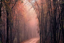 西亚卡姆33+11哈登22+10 步行者22分逆转快船.