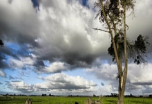 中国名将齐广璞争做冬奥会“五朝元老”.