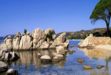 北青：大連人大概率全華班出戰中超不會引進外援.